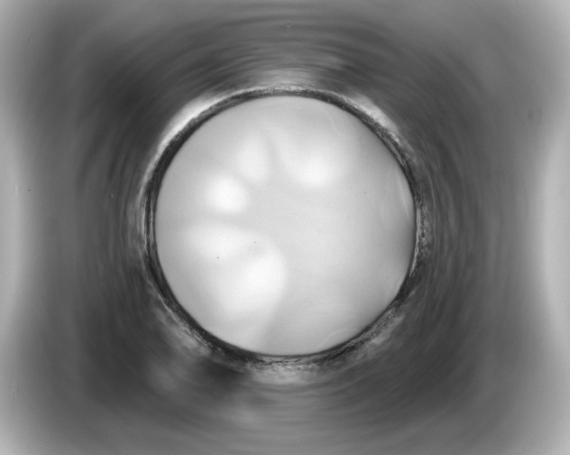 X0000086021078200704091109