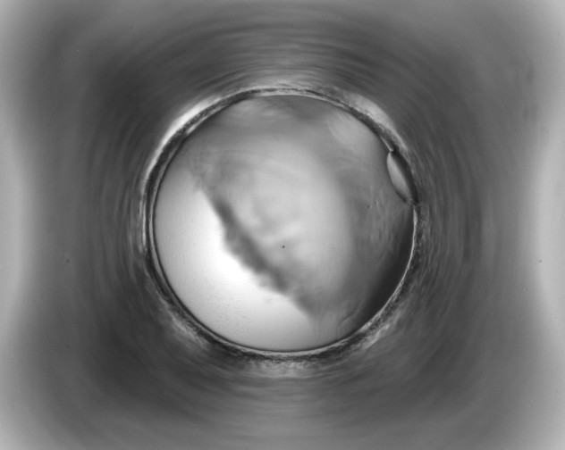 X0000086021079200704091109