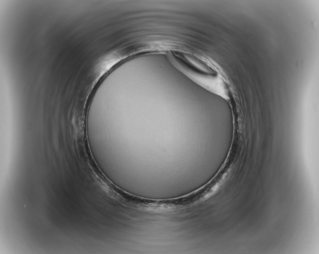 X0000086021081200704091109