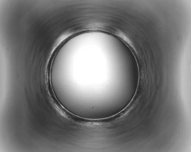 X0000086021082200704091109