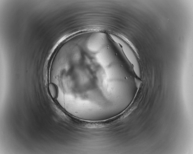 X0000086021083200704091109
