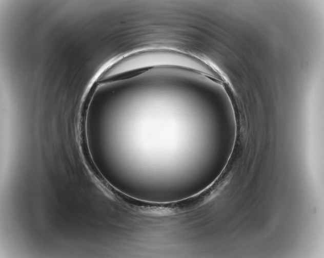 X0000086021085200704091109
