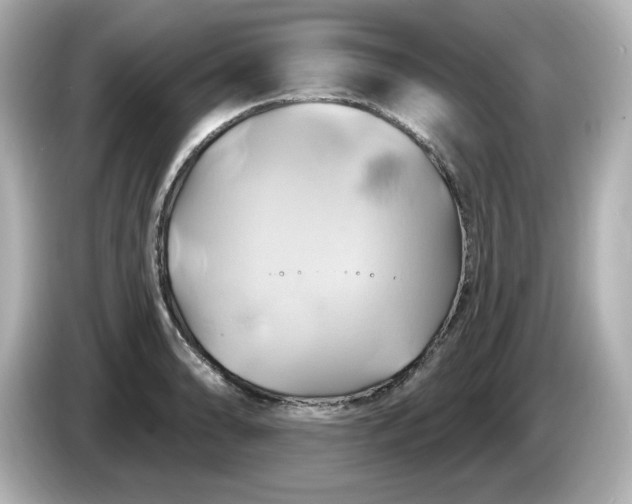X0000086021086200704091109