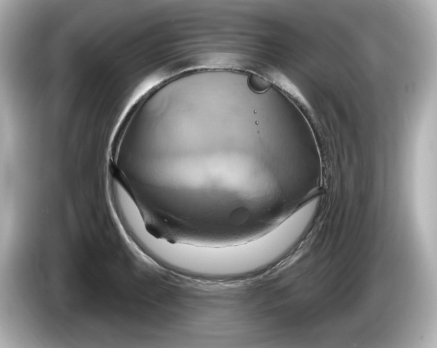 X0000086021087200704091109