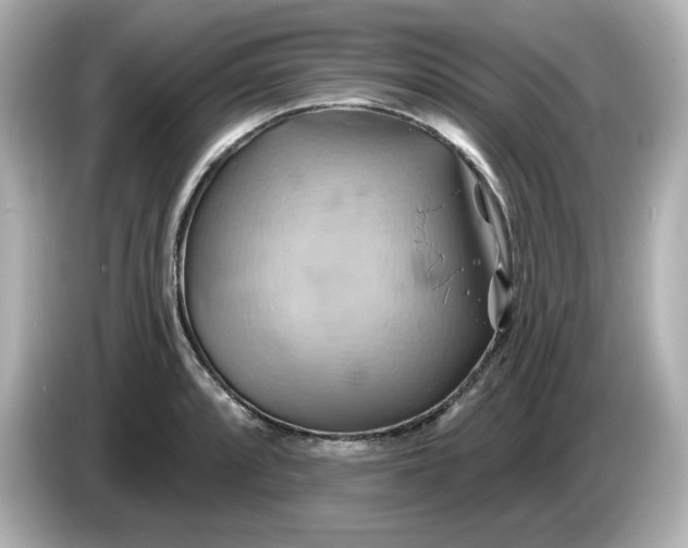 X0000086021088200704091109
