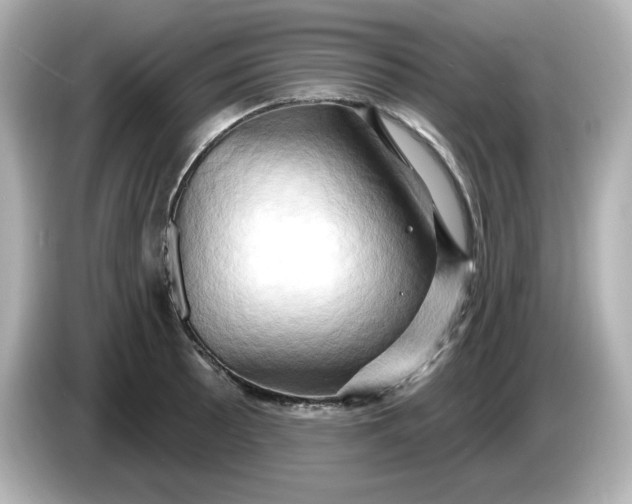 X0000086021089200704091109