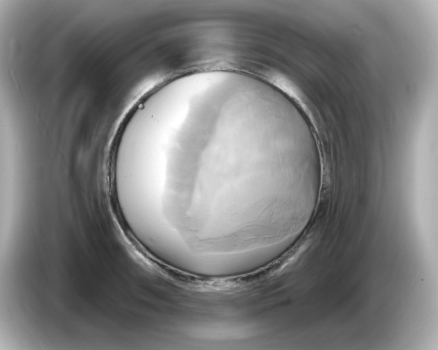 X0000086021090200704091109