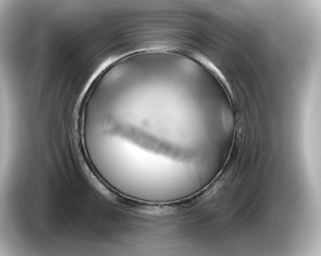 X0000086021091200704091109