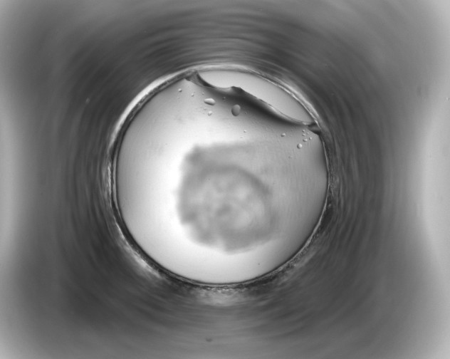 X0000086021092200704091109