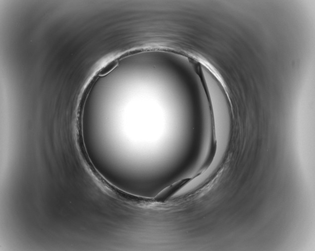 X0000086021093200704091109