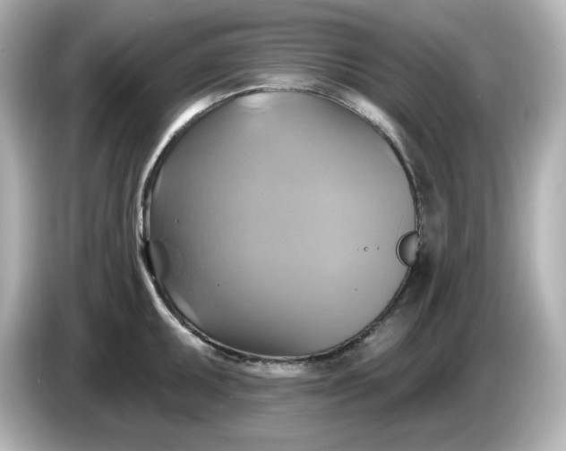 X0000086021095200704091109