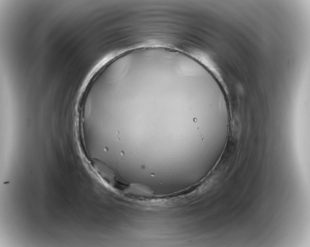 X0000086021096200704091109