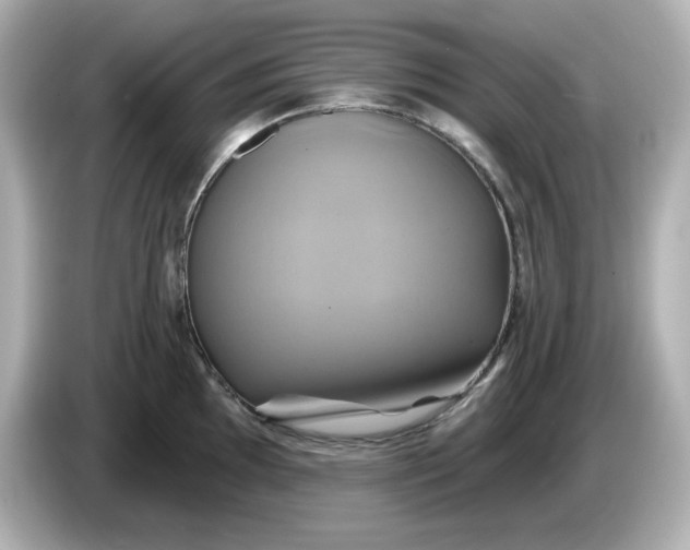 X0000086021097200704091109