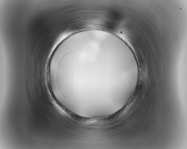 X0000086021098200704091109