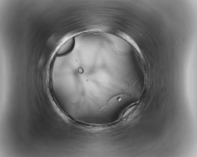 X0000086021099200704091109