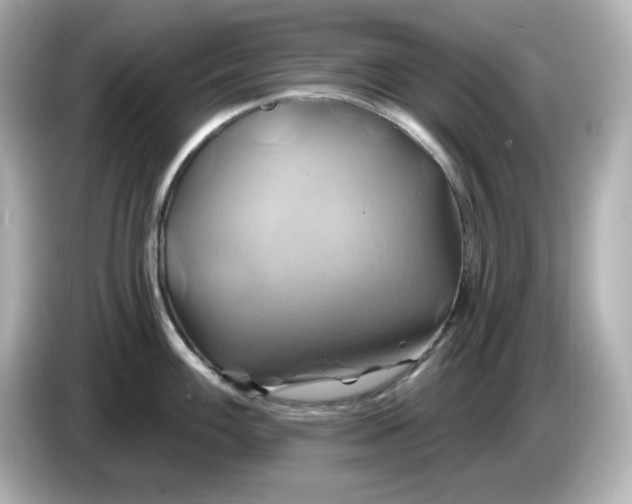 X0000086021100200704091109
