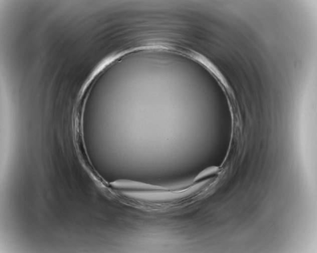 X0000086021101200704091109