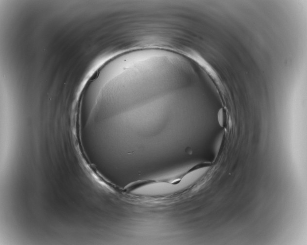 X0000086021102200704091109