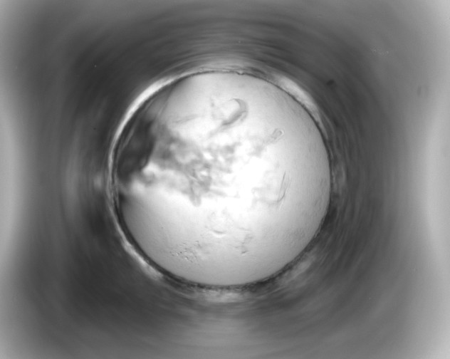 X0000086021103200704091109
