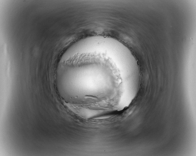 X0000086021105200704091108