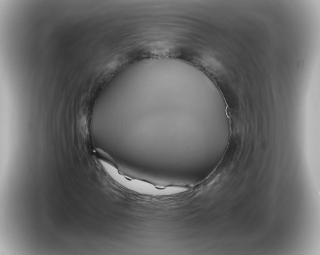 X0000086021106200704091108