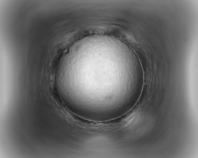 X0000086021109200704091108