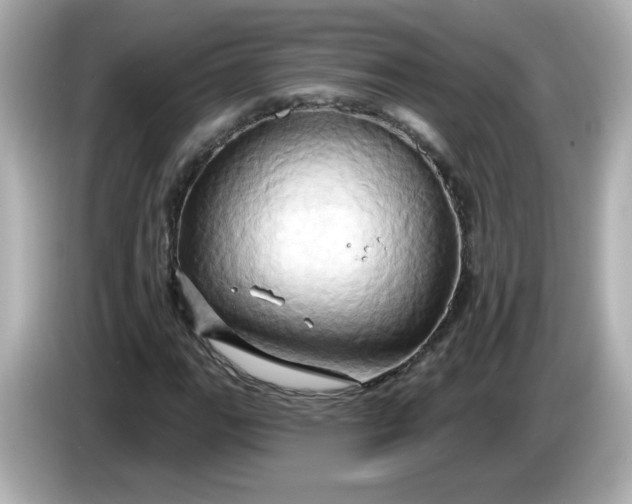 X0000086021111200704091108