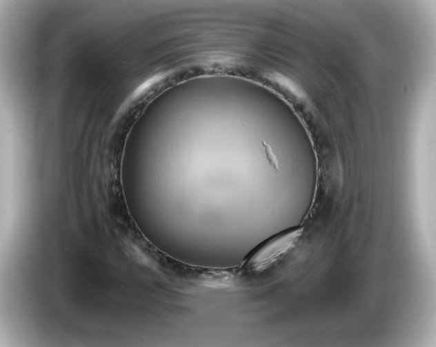 X0000086021112200704091108