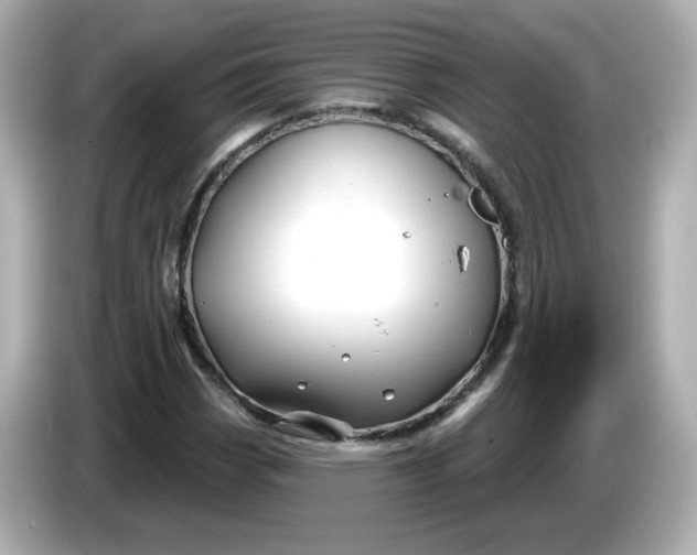 X0000086021113200704091108