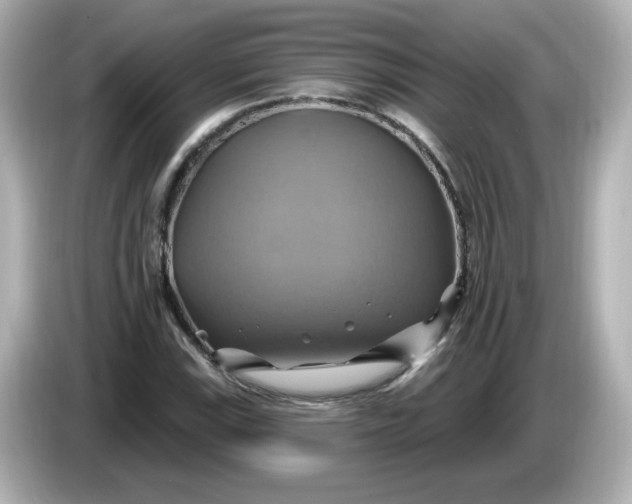 X0000086021115200704091108