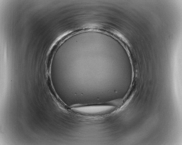 X0000086021117200704091109