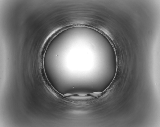 X0000086021119200704091109