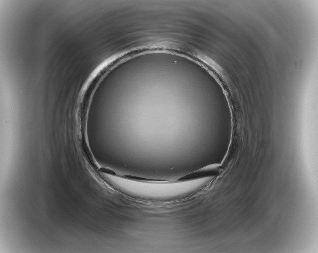 X0000086021120200704091109