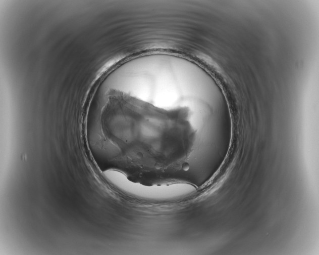 X0000086021121200704091109