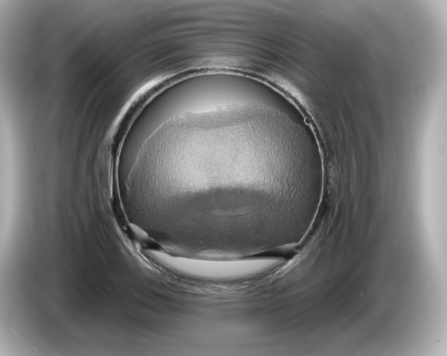 X0000086021123200704091109
