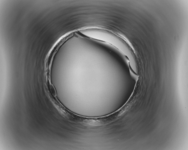 X0000086021124200704091109