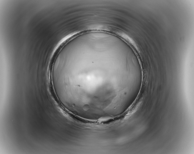 X0000086021125200704091109