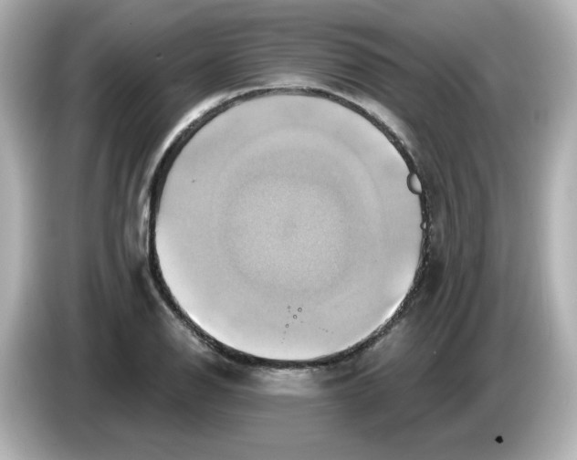 X0000086021126200704091109