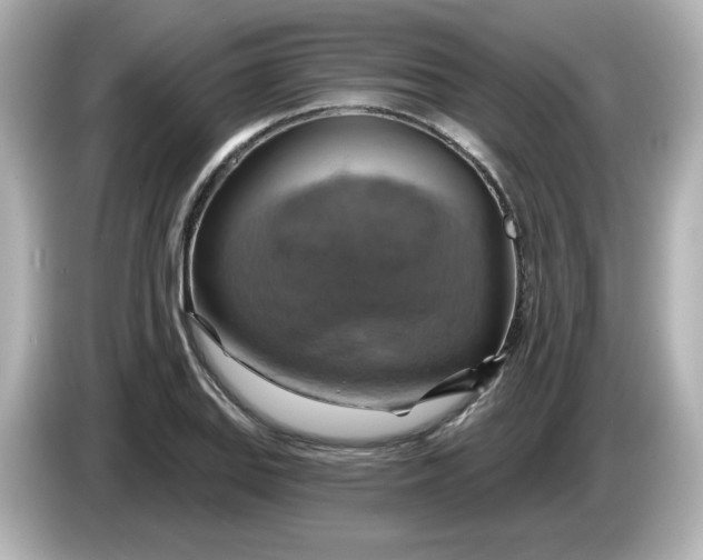 X0000086021127200704091109
