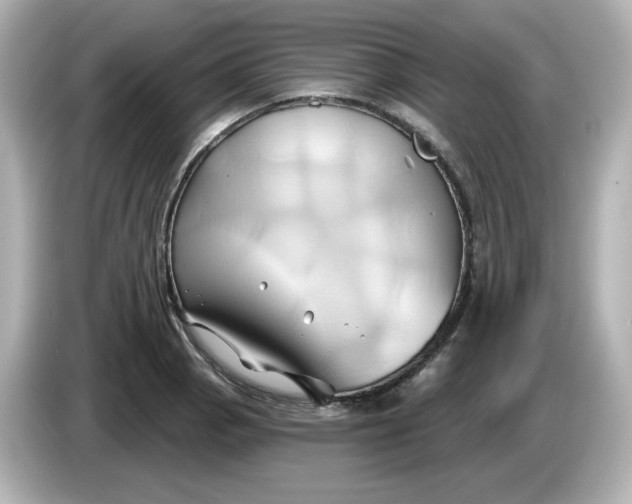 X0000086021129200704091109