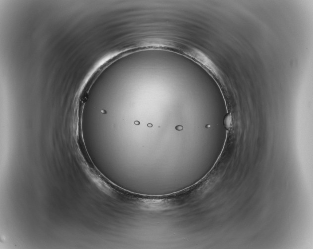 X0000086021132200704091109