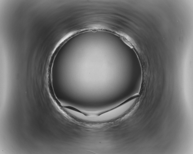 X0000086021134200704091109