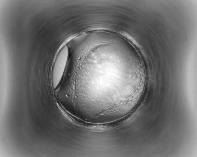 X0000086021137200704091109