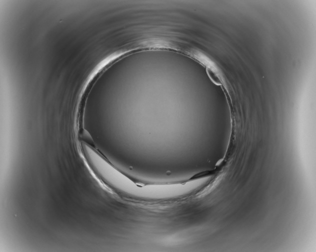 X0000086021141200704091109