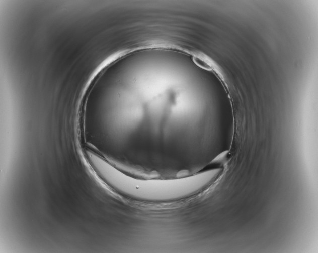 X0000086021142200704091109