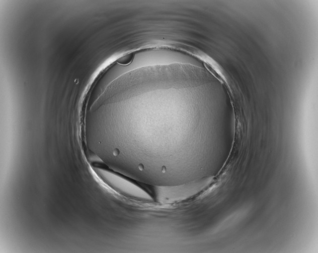 X0000086021143200704091109