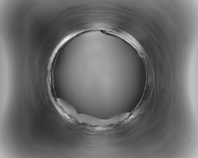 X0000086021144200704091109