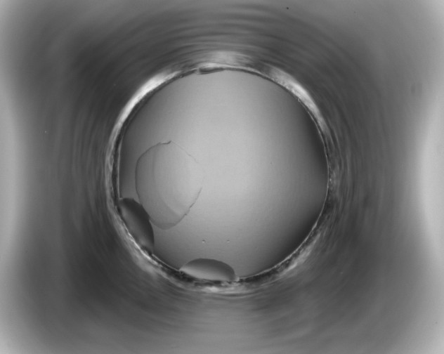 X0000086021146200704091109