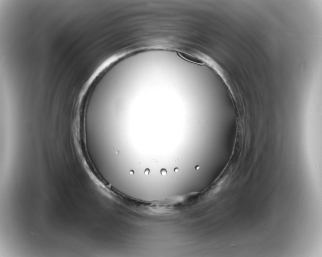 X0000086021147200704091109