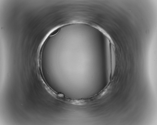 X0000086021148200704091109